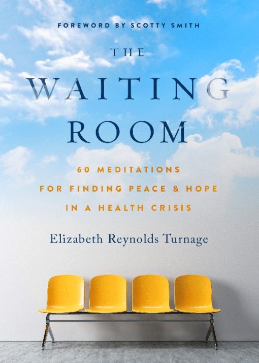 The Waiting Room cover