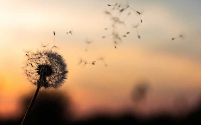 The Paradoxical Freedom of Belonging to God