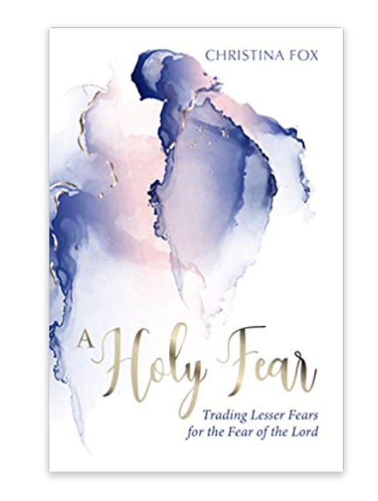 Holy Fear book cover