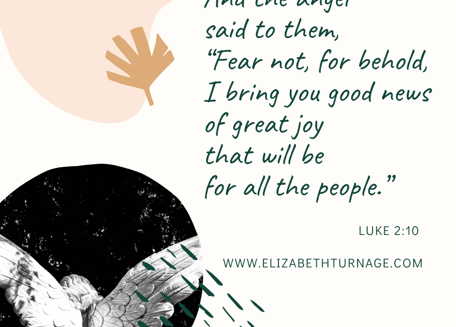 Luke 2:10 image
