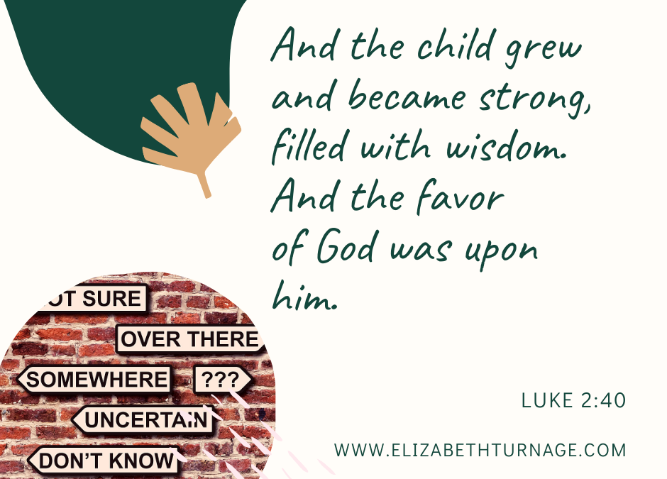 A Prayer about the Wisdom We Desperately Need