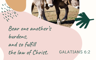 A Prayer about Bearing One Another’s Burdens