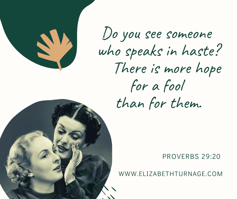 Proverbs 29 20 Elizabeth Turnage