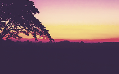 A New Series on Aging, Dying, and Death