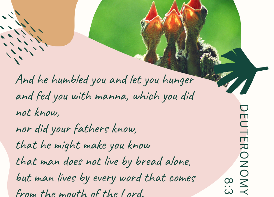 A Prayer about Being the Baby Bird