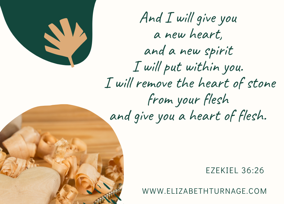 A Prayer about the Best Heart Transplant