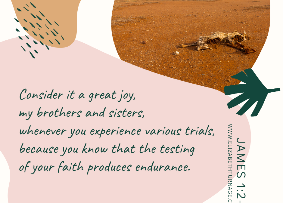 A Prayer about Joy in Trial