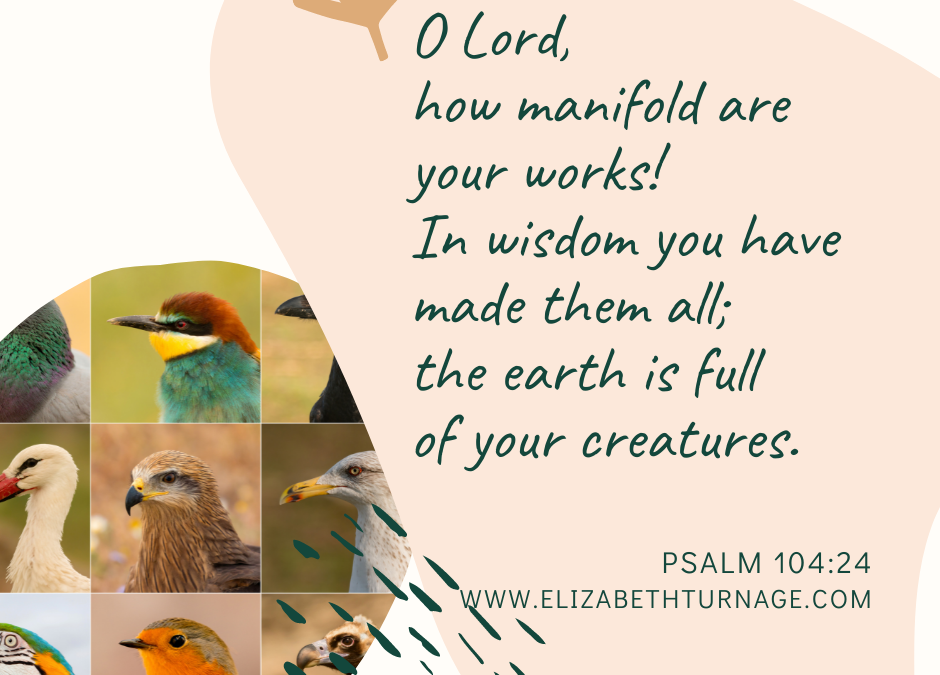 A Prayer about God’s Many-Splendored Creation