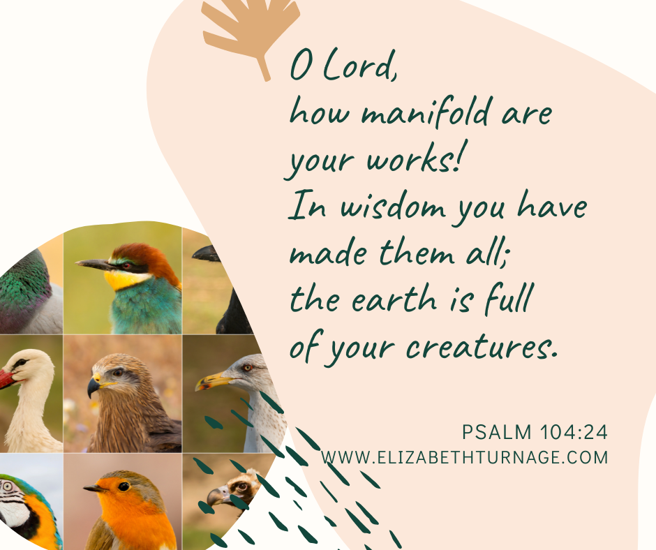 ps10424 Psalm 104:24