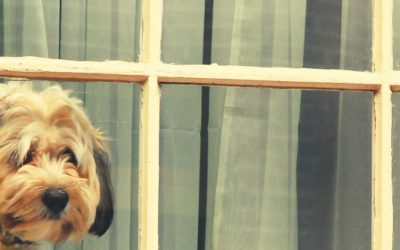 Something Worth Waiting For