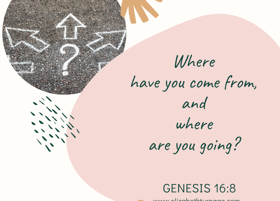 A Prayer about the Questions God Asks