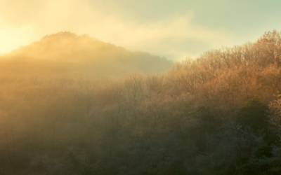 The Hopeful Freedom of Belonging to God