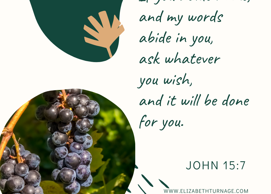 A Prayer about Strength in Abiding