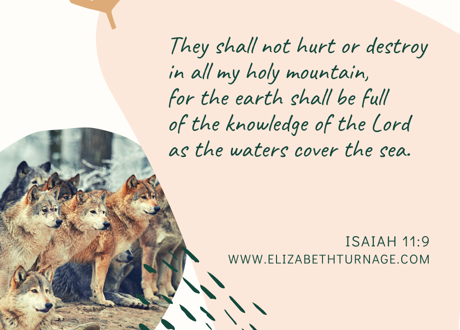 A Prayer about Imagining God’s Peaceful Kingdom