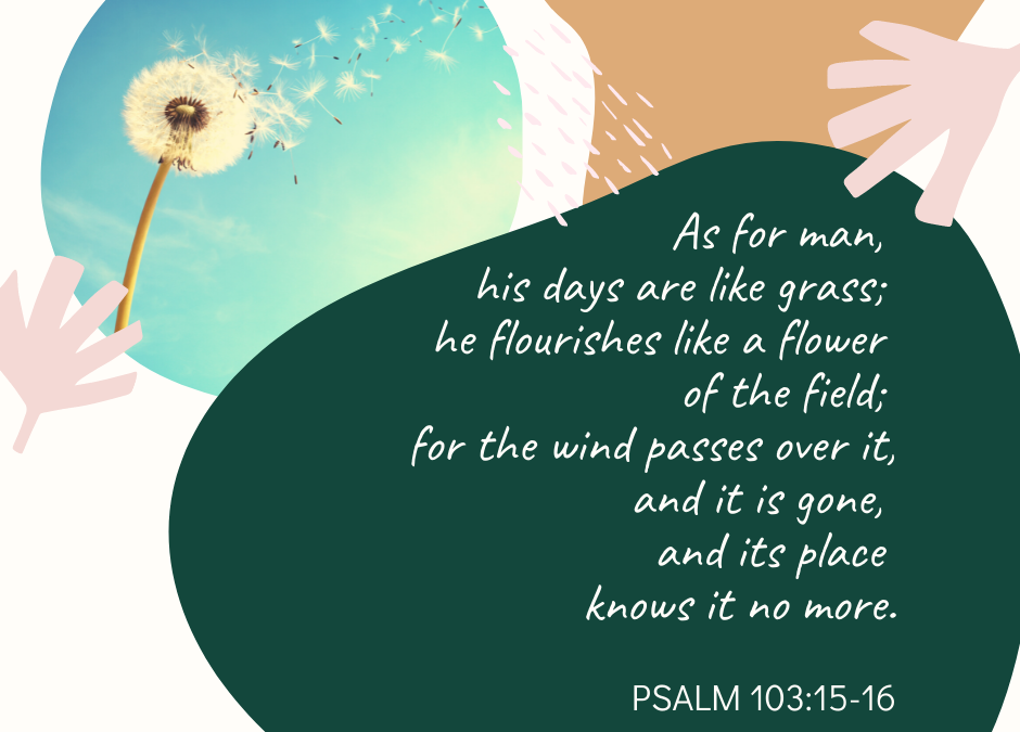 A Prayer about the Brevity and Eternity of Our Lives