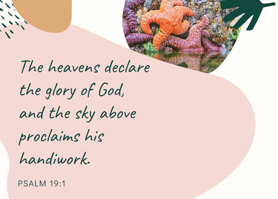 A Prayer about Seeing God in Creation