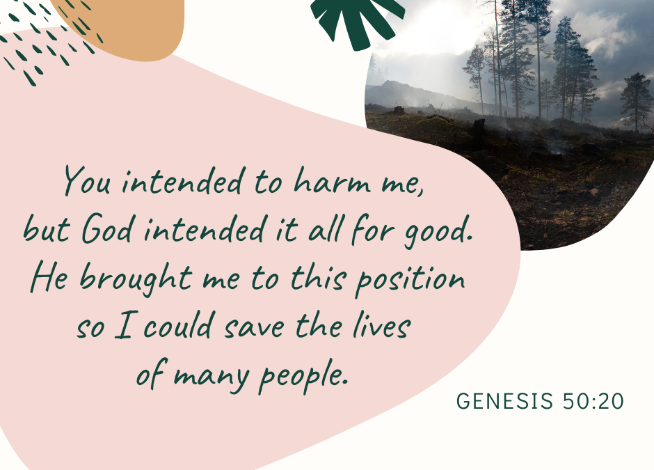 A Prayer for When Someone Harms Us