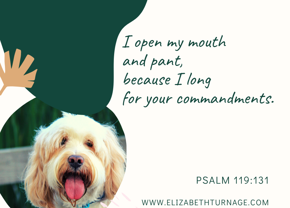 A Prayer about Panting for God’s Word