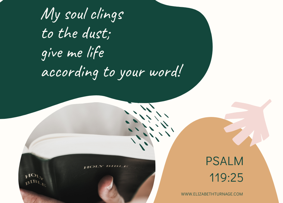 A Prayer about the Word That Revives Our Soul