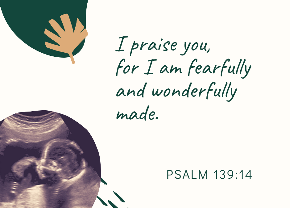 A Prayer about Our Wonderful Bodies