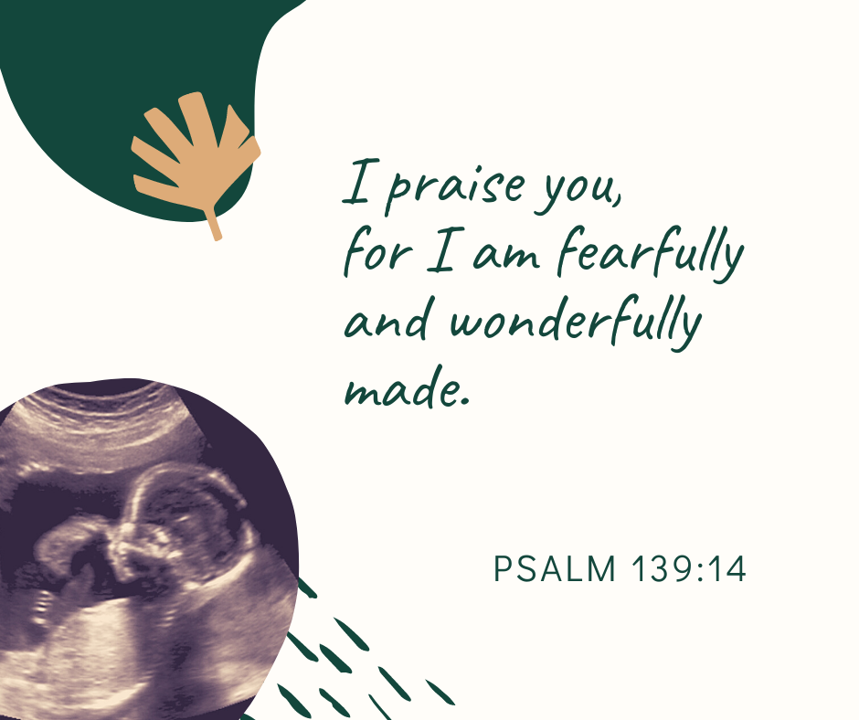 Psalm 139:14