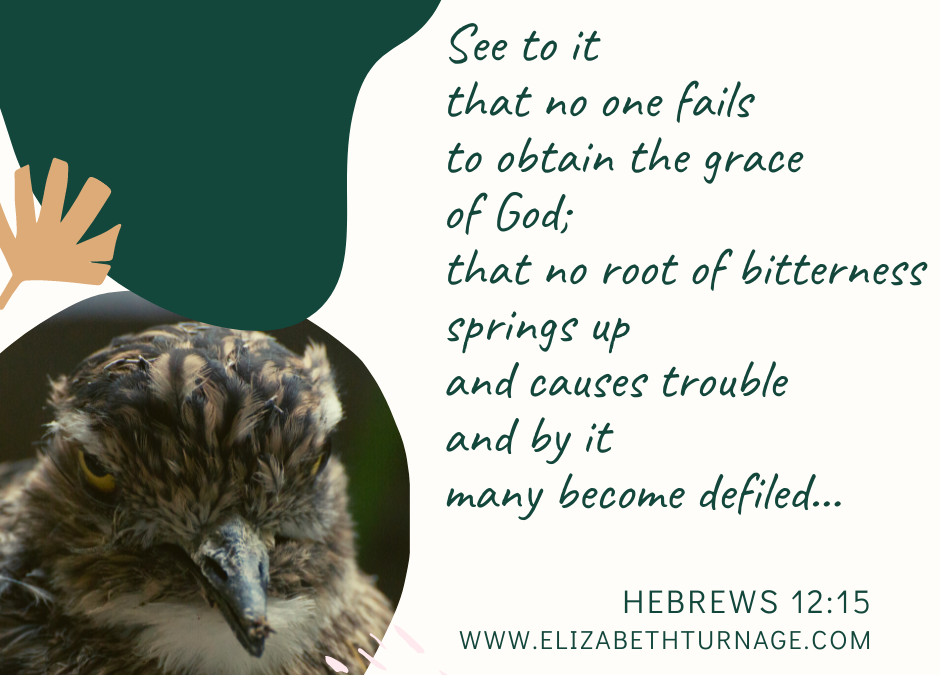 A Prayer about Preventing Bitterness