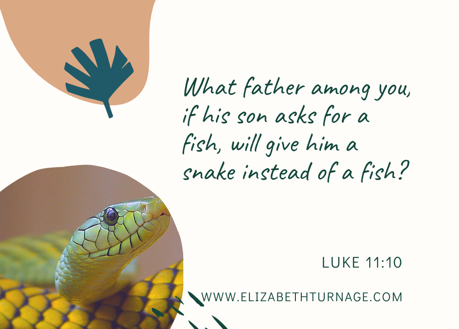 A Prayer Thanking God for Unanswered Prayers