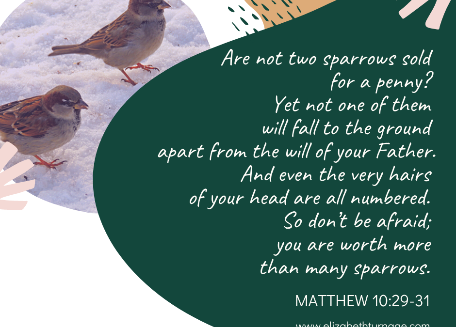 A Prayer about the God Who Rules Everything