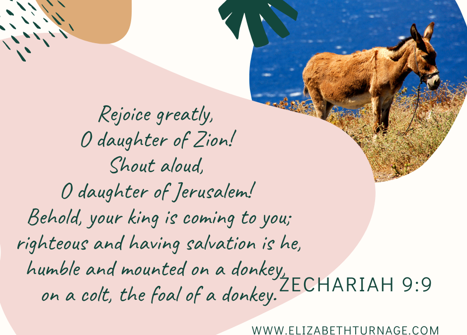 A Prayer about a King Riding a Donkey