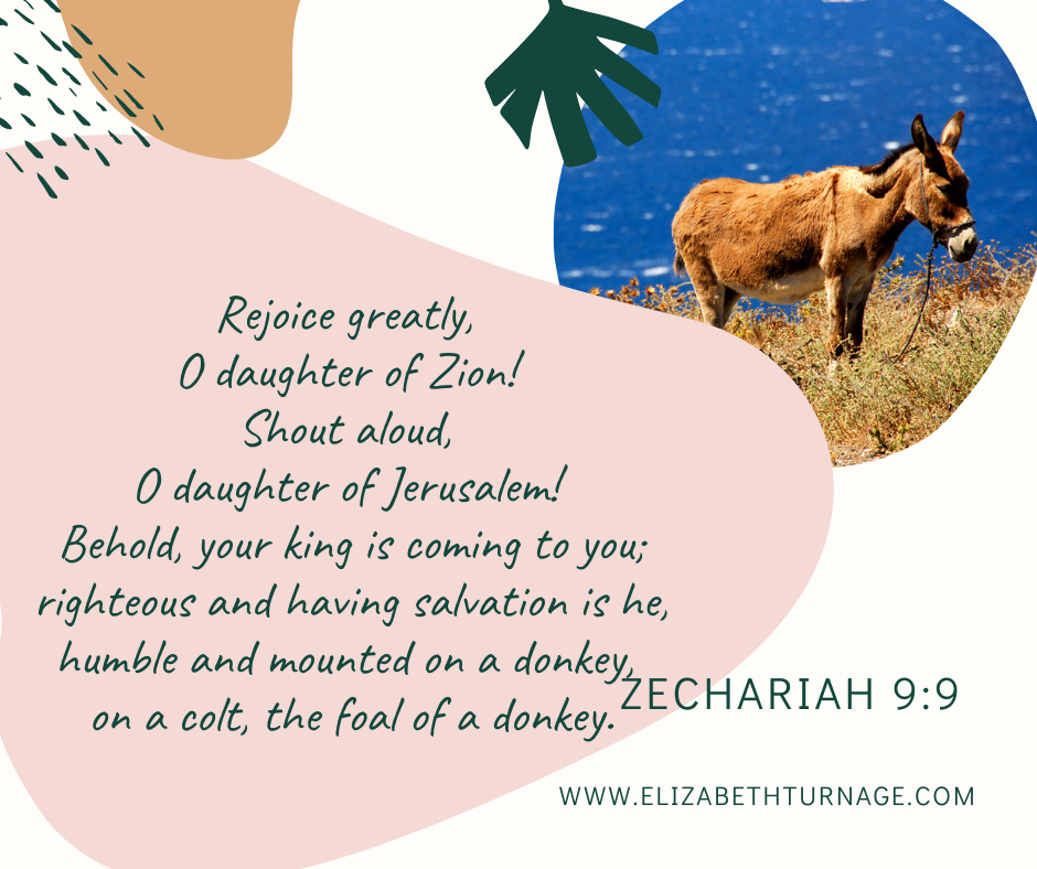 zech99 Zechariah 9:9