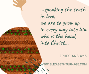 Rather, speaking the truth in love, we are to grow up in every way into him who is the head, into Christ…Ephesians 4:15
