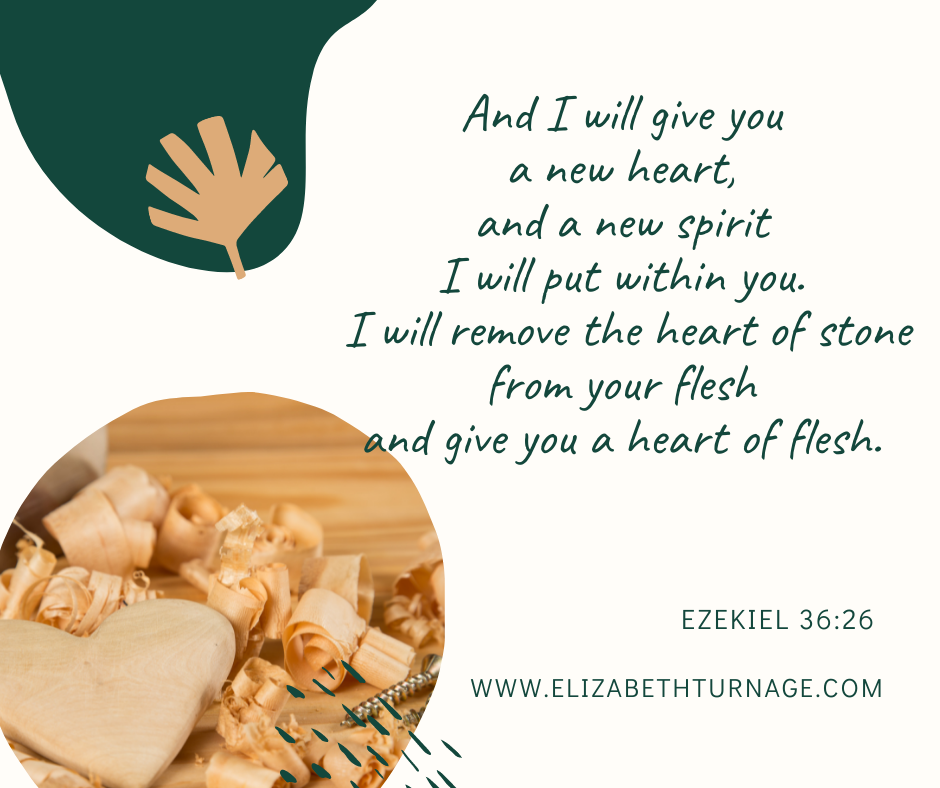 ezekiel3626 And I will give you a new heart, and a new spirit I will put within you. I will remove the heart of stone from your flesh and give you a heart of flesh. Ezekiel 36:26.