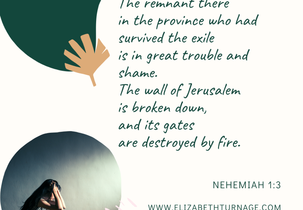 A Prayer about Great Trouble and Shame