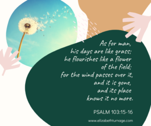 As for man, his days are like grass; he flourishes like a flower of the field; for the wind passes over it, and it is gone, and its place knows it no more. Psalm 103:15-16