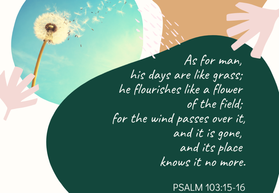 A Prayer about the Brevity and Eternity of Our Lives