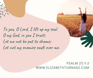 To you, O Lord, I lift up my soul. O my God, in you I trust; Let me not be put to shame; Let not my enemies exult over me. Psalm 25:1-2