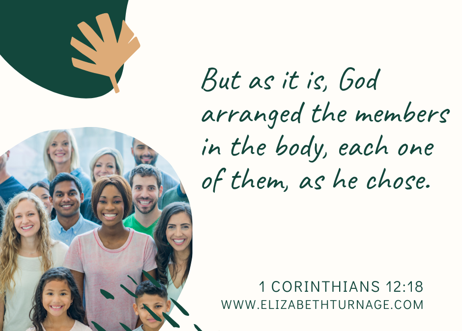 A Prayer about Being a BlueJay