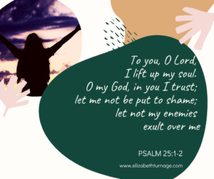 To you, O Lord, I lift up my soul. O my God, in you I trust; let me not be put to shame; let not my enemies exult over me. Psalm 25:1-2