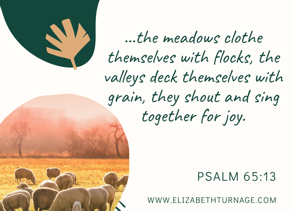 A Prayer about the Abundant Harvest to Come