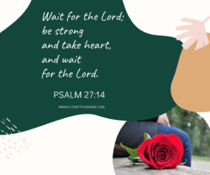 Wait for the Lord; be strong and take heart, and wait for the Lord. Psalm 27:14