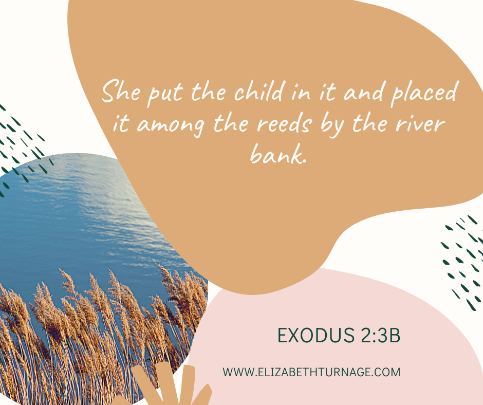 She put the child in it and placed it among the reeds by the river bank. Exodus 2:3b