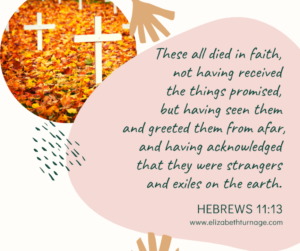 These all died in faith, not having received the things promised, but having seen them and greeted them from afar, and having acknowledged that they were strangers and exiles on the earth. Hebrews 11:13