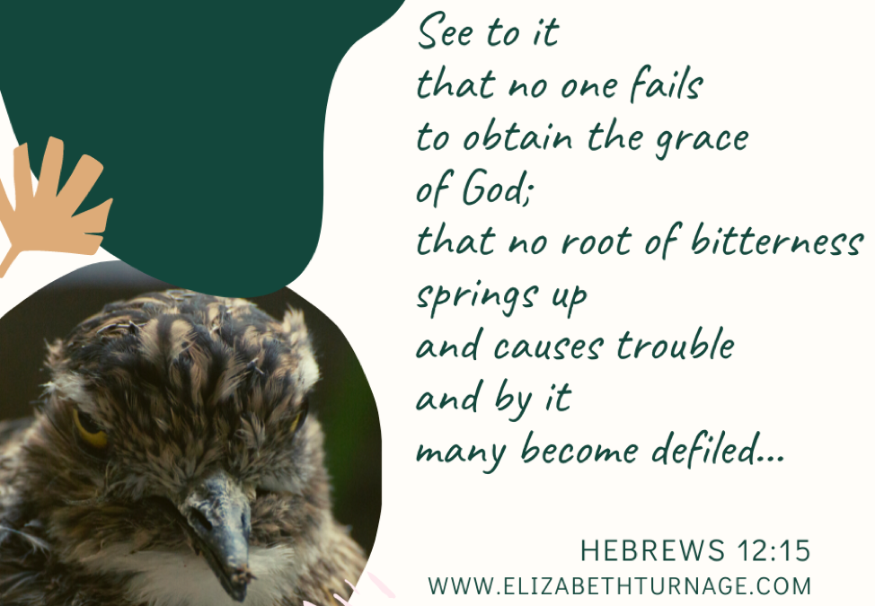 A Prayer about Preventing Bitterness