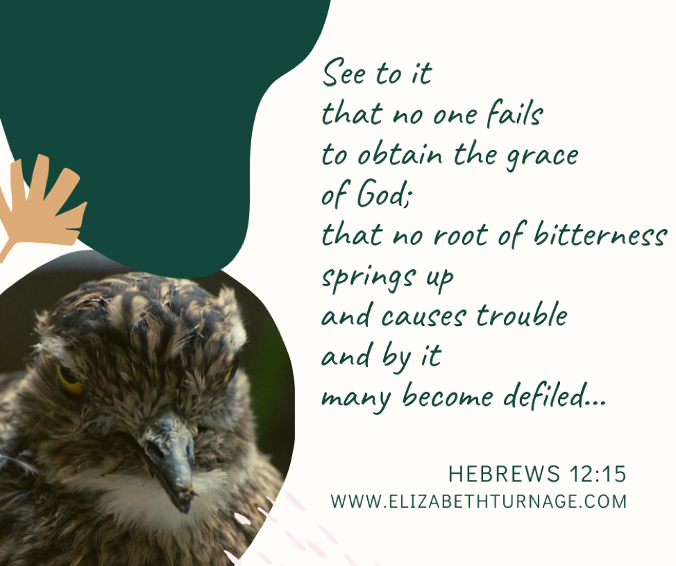 hebrews 12.15 See to it than on one fails to obtain the grace of God; that no root of bitterness springs up and causes trouble and by it many become defiled… Hebrews 12:15