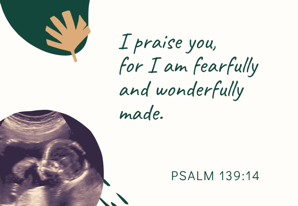 A Prayer about How God Created Our Bodies