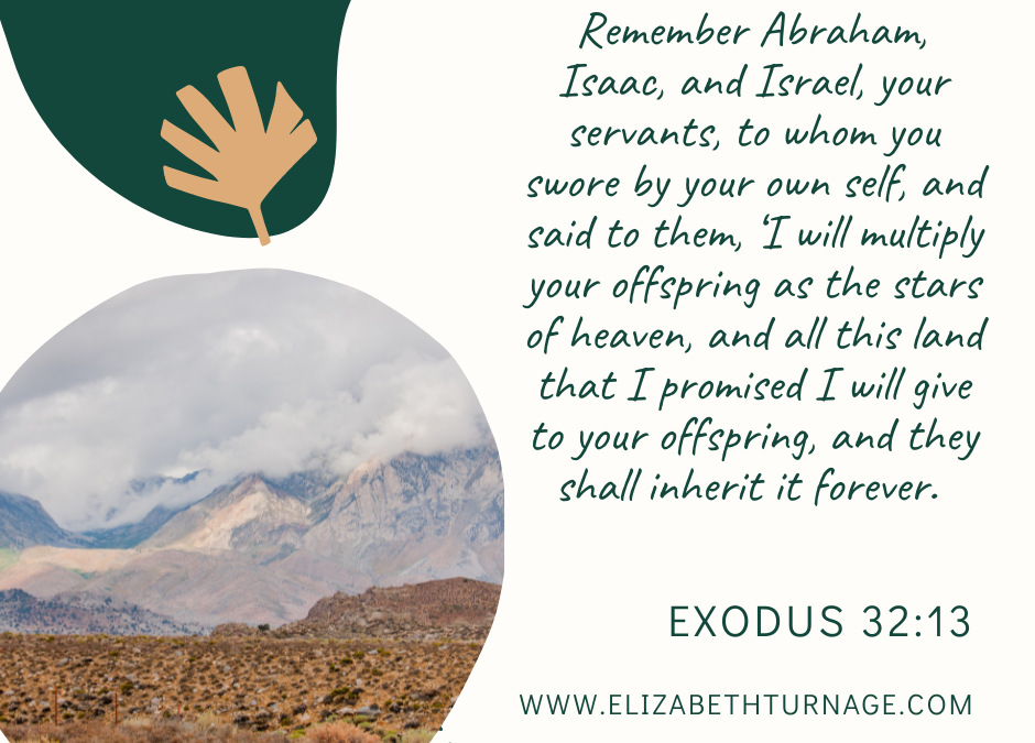 A Prayer about Praying God’s Promises Back to Him