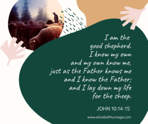 I am the good shepherd. I know my own and my own know me, just as the Father knows me and I know the Father and I lay down my life for the sheep. John 10:14-15