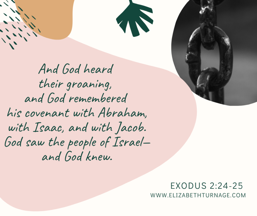Exodus 2:24–25 And God heard their groaning, and God remembered his covenant with Abraham, with Isaac, and with Jacob. God saw the people of Israel—and God knew.