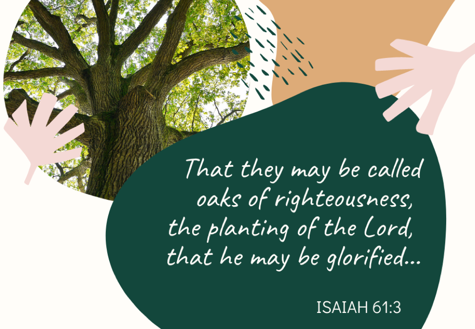 A Prayer about Becoming an Oak of Righteousness