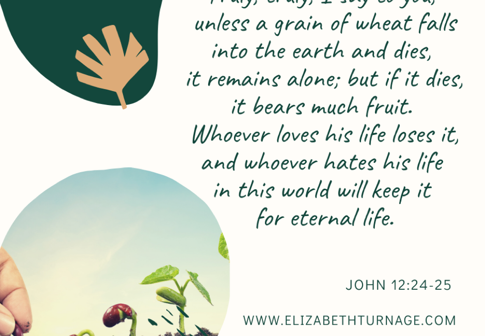 A Prayer about Dying to Bear Fruit